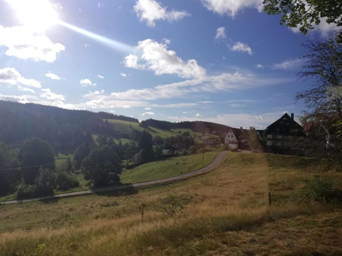 Haus Elena Apartment Bestwig Bagian luar foto